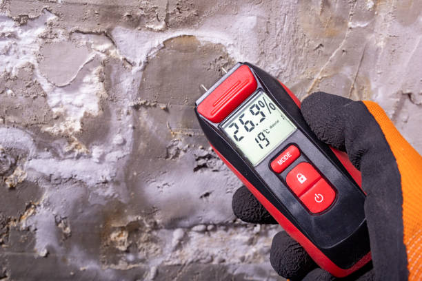 Best Mold Cleaning Services  in Woodstown, NJ